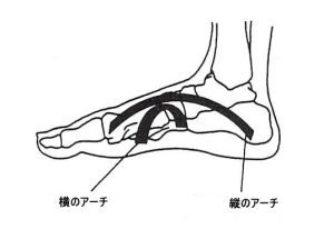 足のアーチ構造